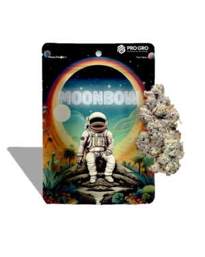 Moon Boon